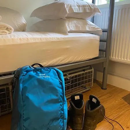 Hotel Royal Oak 3*